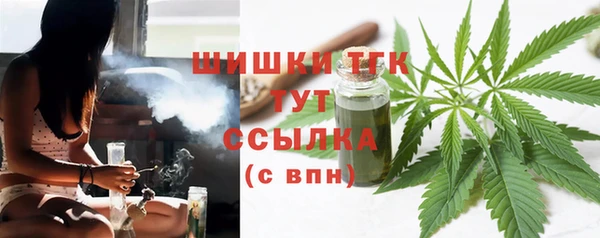 шишки Богородицк