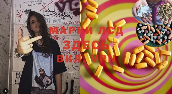 шишки Богородицк