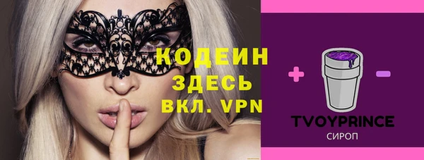 шишки Богородицк