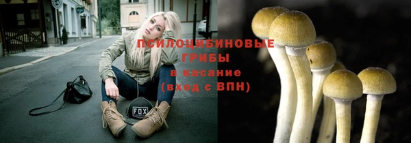 шишки Богородицк