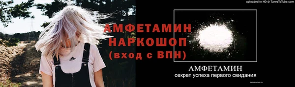 шишки Богородицк