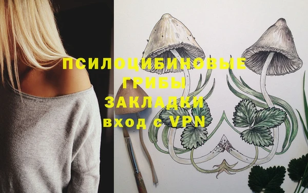 шишки Богородицк