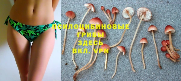 а пвп мука Богородск