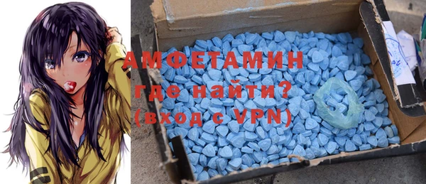 шишки Богородицк