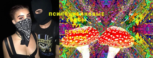 шишки Богородицк