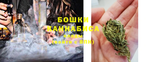 гашиш Богданович