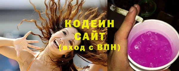 шишки Богородицк