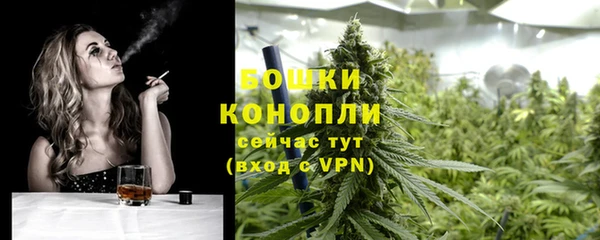 гашиш Богданович