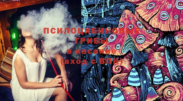 шишки Богородицк